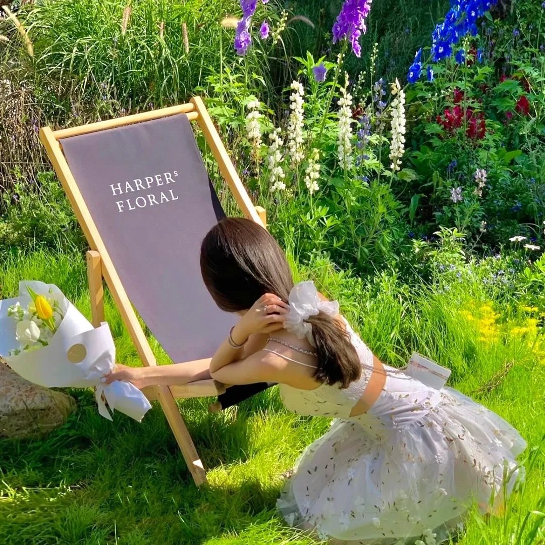 星球大战：义军崛起第二季